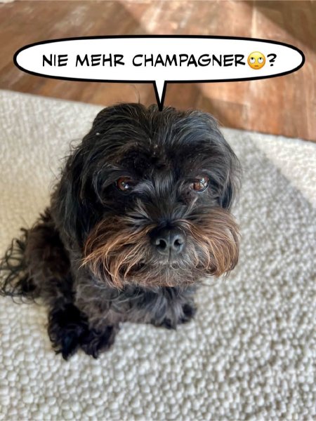 Bild zu Eintrag 