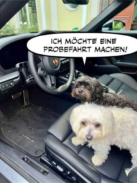 Bild zu Eintrag 