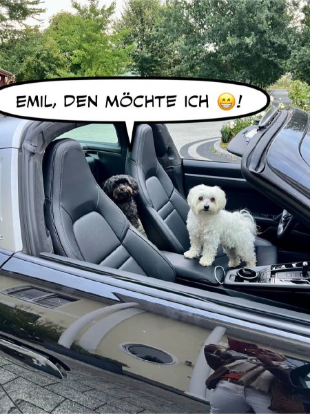 Bild zu Eintrag 