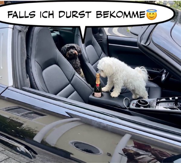 Bild zu Eintrag 
