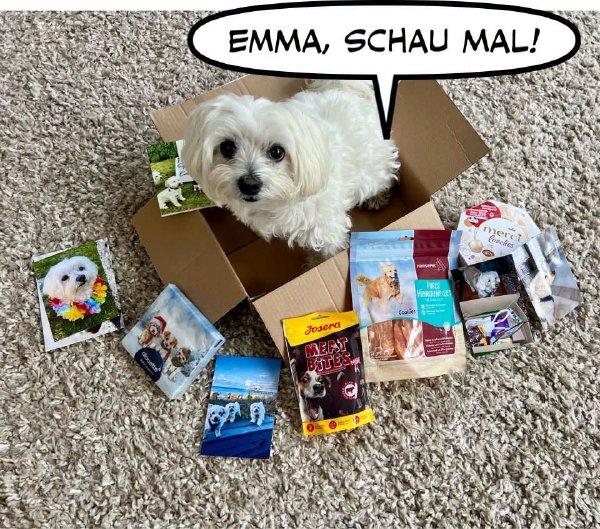 Bild zu Eintrag 