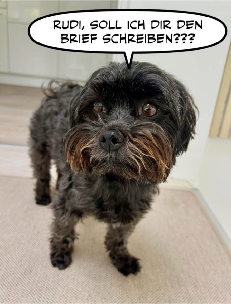 Bild zu Eintrag 