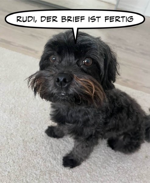 Bild zu Eintrag 