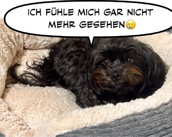 Bild zu Eintrag 