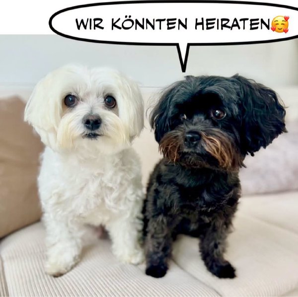 Bild zu Eintrag 