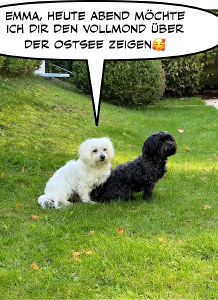 Bild zu Eintrag 